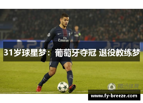 31岁球星梦：葡萄牙夺冠 退役教练梦